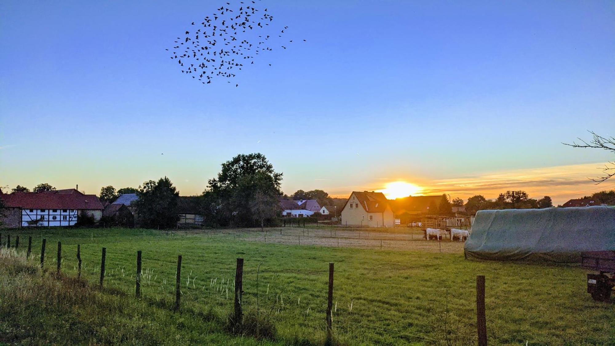 Gelbes Haus Seenland Ferienwohnungen Xl Elsterheide Esterno foto